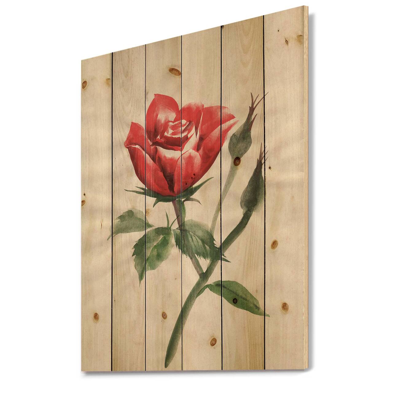 Designart - Vintage Red Rose Flower II - Traditional Print on Natural Pine Wood